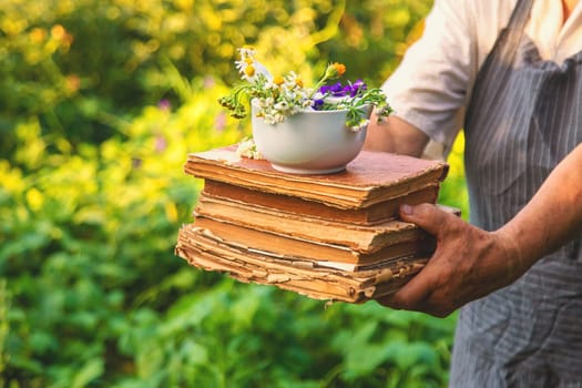 Woman with medicinal herbs in a meadow. Selective focus. nature.