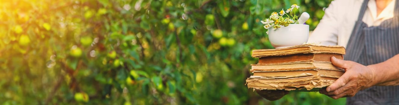 Woman with medicinal herbs in a meadow. Selective focus. nature.