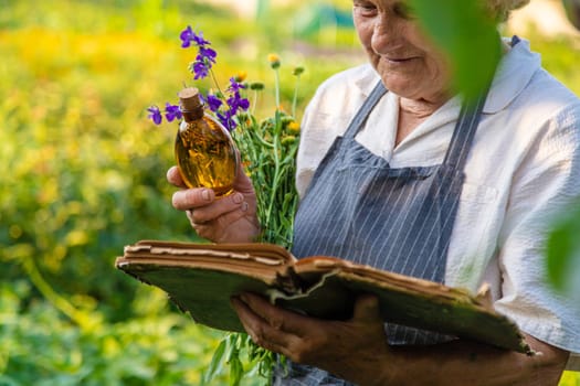 Woman with medicinal herbs in a meadow. Selective focus. nature.