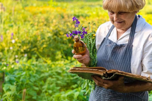 Woman with medicinal herbs in a meadow. Selective focus. nature.