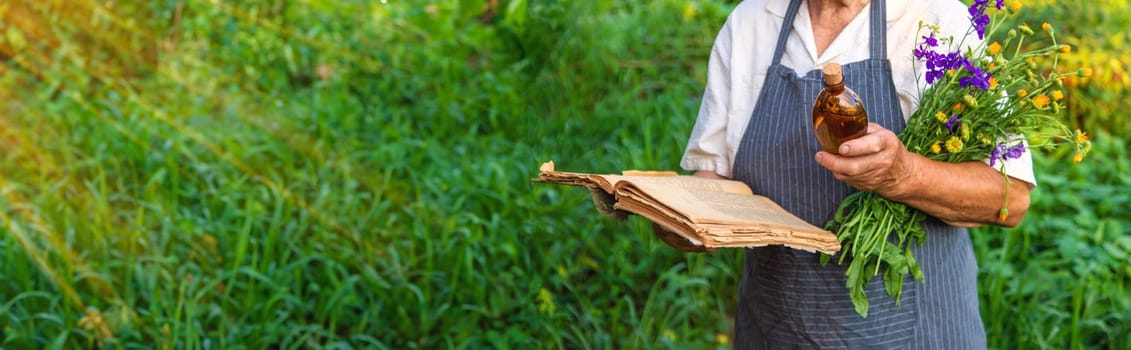 Woman with medicinal herbs in a meadow. Selective focus. nature.