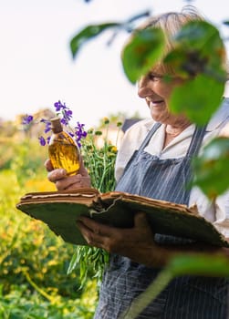 Woman with medicinal herbs in a meadow. Selective focus. nature.