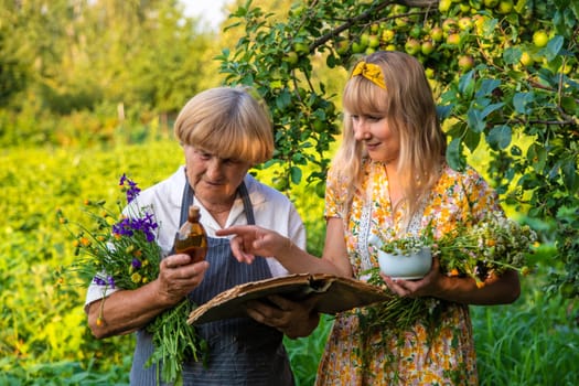 Woman with medicinal herbs in a meadow. Selective focus. nature.