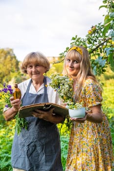 Woman with medicinal herbs in a meadow. Selective focus. nature.