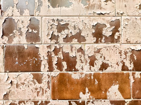 The wall features fragmented layers of peeling paint, showcasing a blend of rustic textures and earthy tones that highlight age and wear.