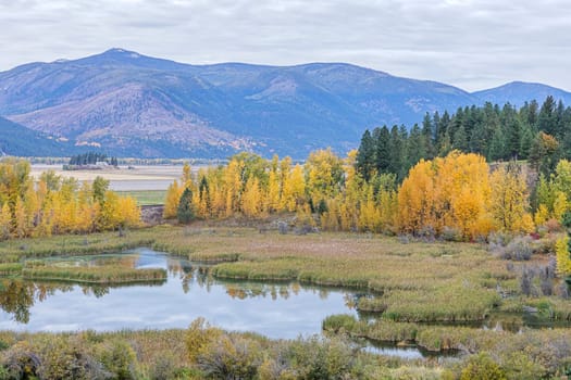 Fall landscape along Deep Creek Loop near Bonners Ferry, Idaho