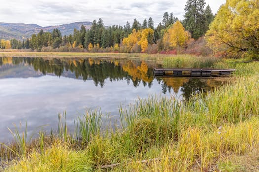 The calm, mirror like water of McArthur Lake in north Idaho.