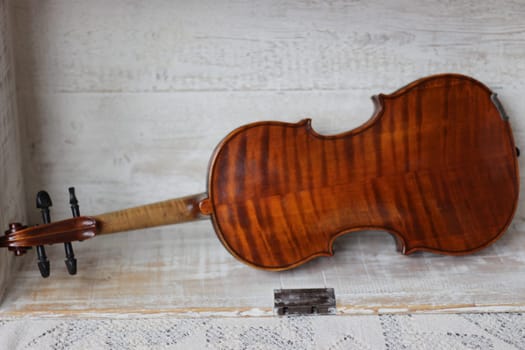 violin - an orchestral or solo professional bowed musical instrument with four strings. loved by children and adults. used in classical folk popular and jazz music. High quality photo