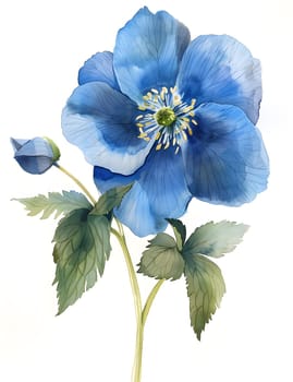 Beautiful blue flower with vibrant petals and green leaves on white background