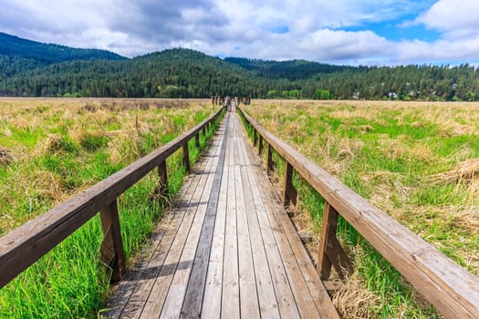 A walking path leads out into a meadow in Liberty Lake, Washington.