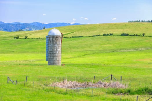 A grain silo stands tall in a green meadow near Harrison, Idaho.