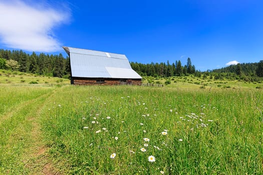 A grassy field leading up to a barn on a sunny day near Harrison, Idaho.