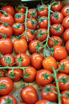 agriculture food juicy organic market produce vegetarian fresh red vegetable nature raw tomato