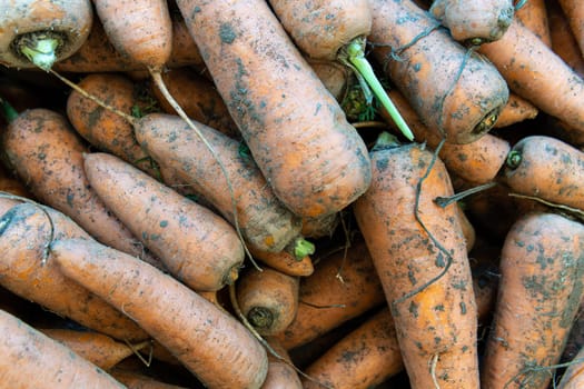 nutrition raw carrot vegetarian food agriculture background harvest fresh vegetable healthy orange