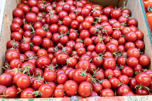 red closeup food juicy fresh ingredient agriculture tomato raw ripe vegetable freshness organic