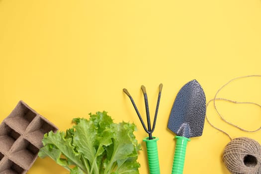flat lay with seedlings, rubber gloves, gardening tools on yellow background, copy space. shovel, rake, string. top view,