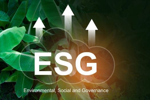 ESG, environmental, social and governance for sustainable organizational business company development.