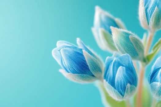 Macro photography showcasing the delicate beauty of emerging blue flower buds against a vibrant turquoise backdrop