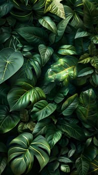 Closeup of lush green leaves on a terrestrial plant, possibly a groundcover or grass. The pattern of leaves creates a beautiful display on the flowering plant