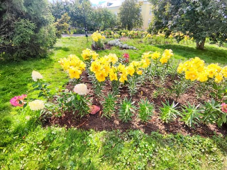 Lush garden bed filled with yellow and pink flowers under bright sunlight.
