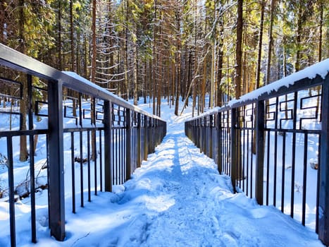 Snow-Covered Bridge in a Pine Forest on a Sunny Winter Day. A bridge blanketed with snow winds through a pine forest under clear blue sky