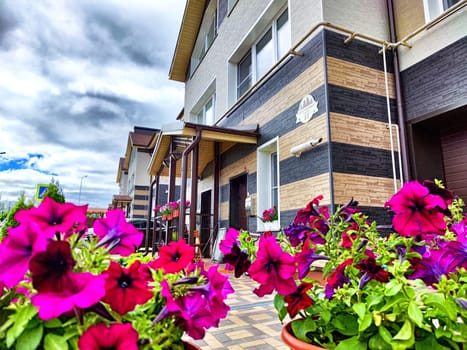 Bright petunias decorate a walkway in front of a contemporary building under a cloudy sky.