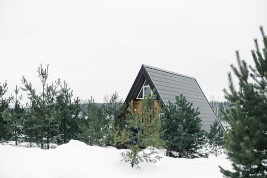 A country house in nature in winter. Rest in an ecologically clean place in winter. Glamping in nature