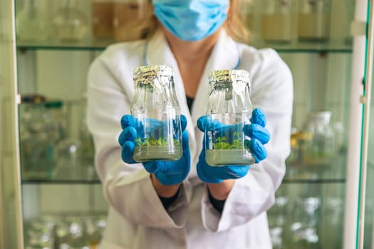 laboratory jars with plants. Selective focus. People.