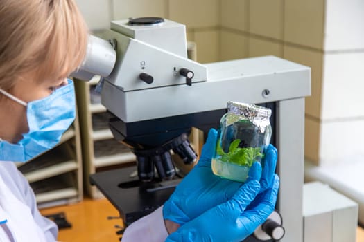 Examine in the laboratory under a microscope. Selective focus. medicine.