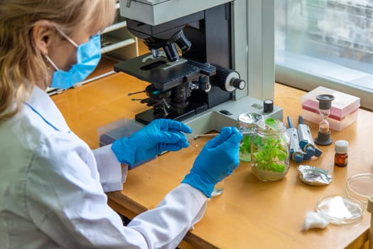 Examine in the laboratory under a microscope. Selective focus. medicine.