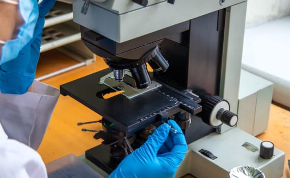 Examine in the laboratory under a microscope. Selective focus. medicine.