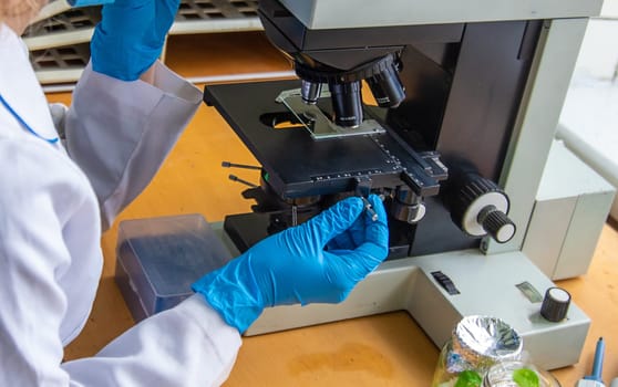 Examine in the laboratory under a microscope. Selective focus. medicine.