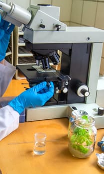 Examine in the laboratory under a microscope. Selective focus. medicine.