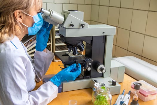 Examine in the laboratory under a microscope. Selective focus. medicine.