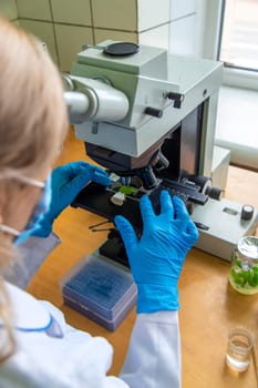 Examine in the laboratory under a microscope. Selective focus. medicine.