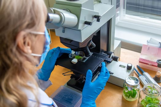 Examine in the laboratory under a microscope. Selective focus. medicine.