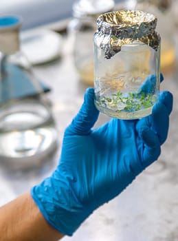 laboratory jars with plants. Selective focus. People.
