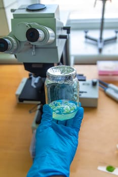 Examine in the laboratory under a microscope. Selective focus. medicine.