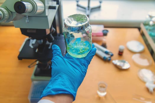 Examine in the laboratory under a microscope. Selective focus. medicine.