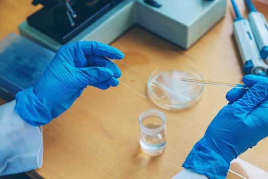 Examine in the laboratory under a microscope. Selective focus. medicine.