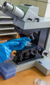 Examine in the laboratory under a microscope. Selective focus. medicine.