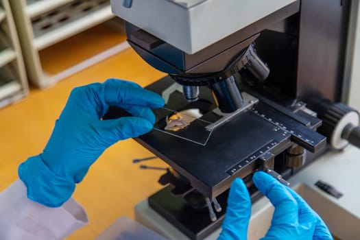 Examine in the laboratory under a microscope. Selective focus. medicine.