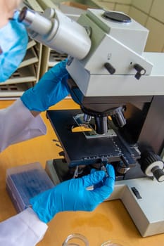 Examine in the laboratory under a microscope. Selective focus. medicine.
