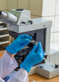 Examine in the laboratory under a microscope. Selective focus. medicine.