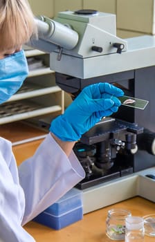 Examine in the laboratory under a microscope. Selective focus. medicine.