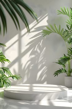 A white podium stands amidst a backdrop of palm trees casting shadows on a white wall, creating a serene setting blending nature and modernity