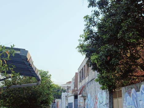 A quiet urban street scene showcasing buildings with colorful graffiti and lush trees. The peaceful atmosphere reflects a blend of nature and city life.