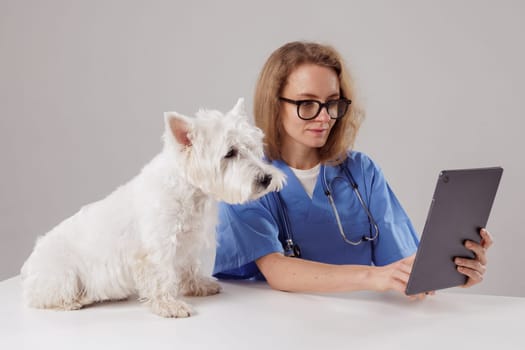 Female veterinarian assessing health of white dog on tablet computer at Modern Veterinary Clinic, dog treatment