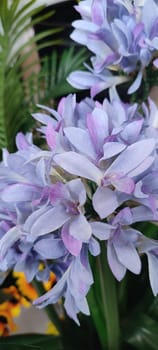 purple flowers artificial, room interior. High quality photo