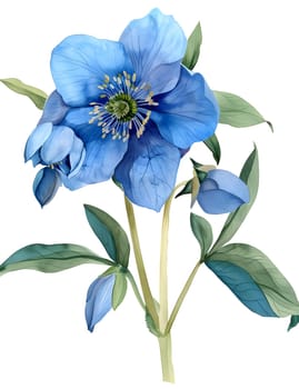 Beautiful blue flower with green leaves, ideal for print or digital decoration